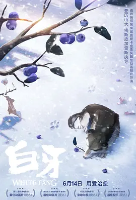 岛国av片网站